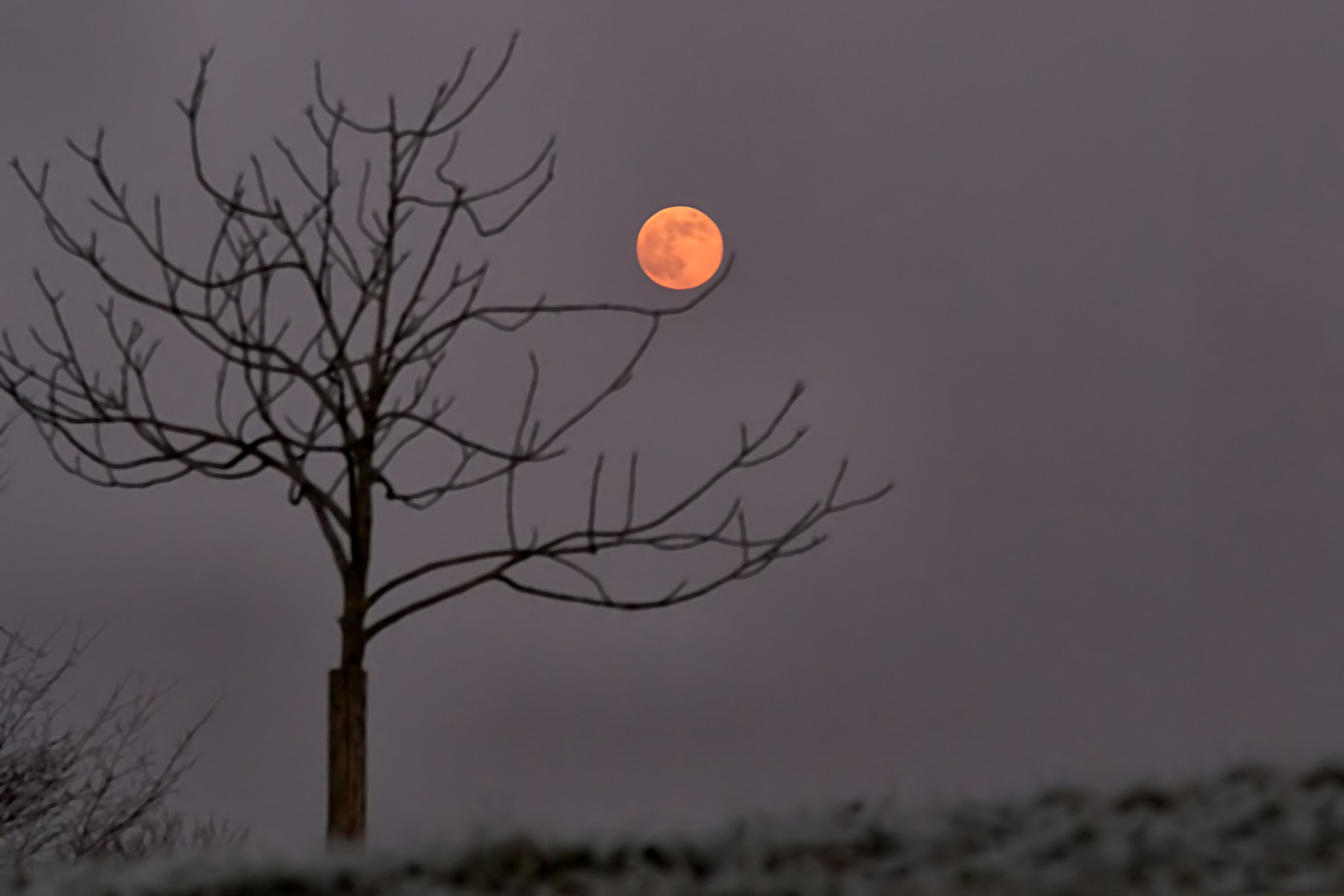 Mond